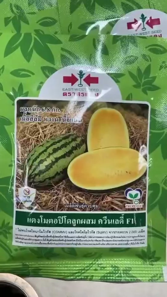 แตงโมเหลือง 